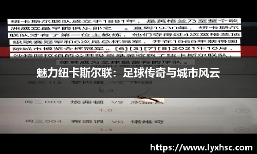 魅力纽卡斯尔联：足球传奇与城市风云